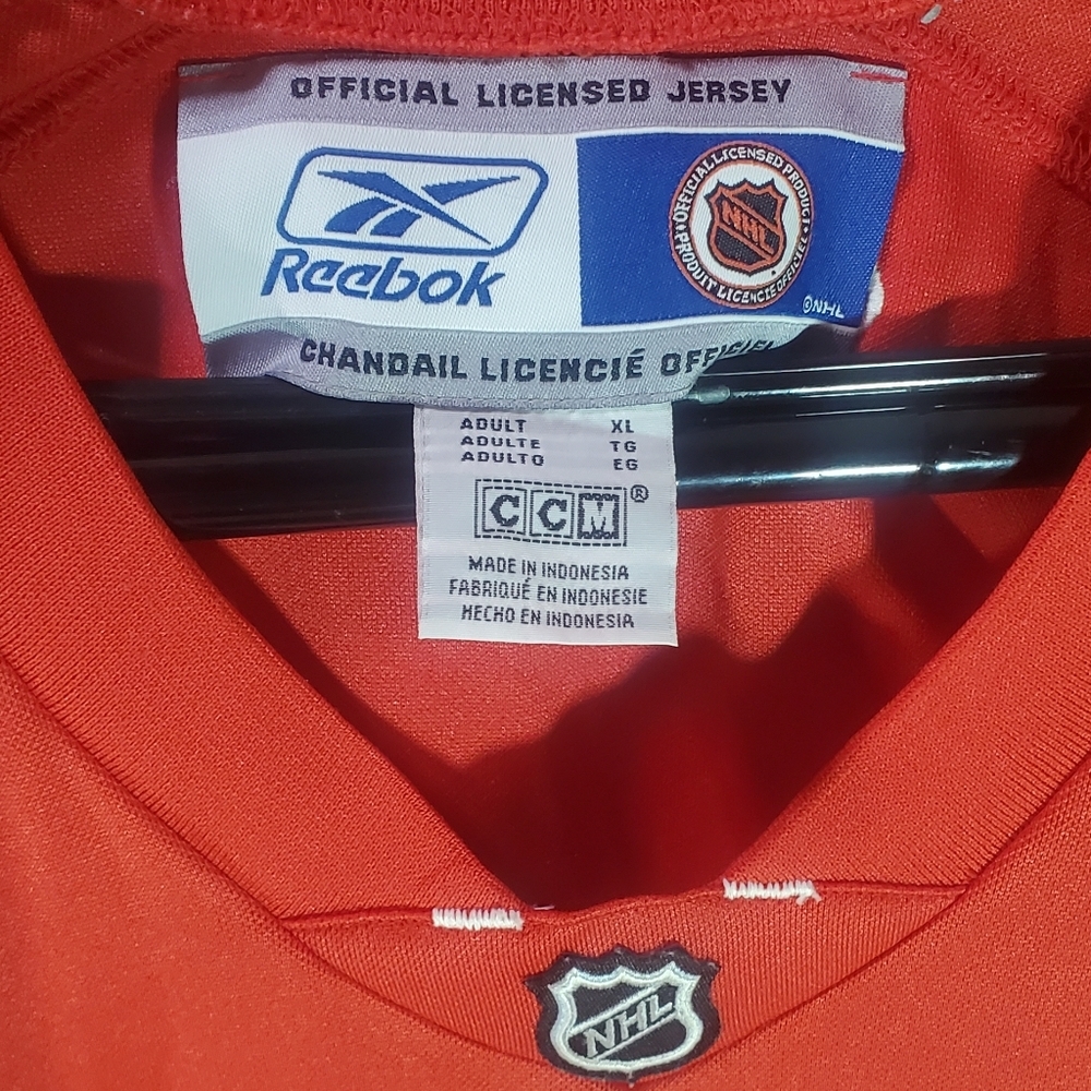 Autographed 2017 redwings jersey - Picture 3 of 9